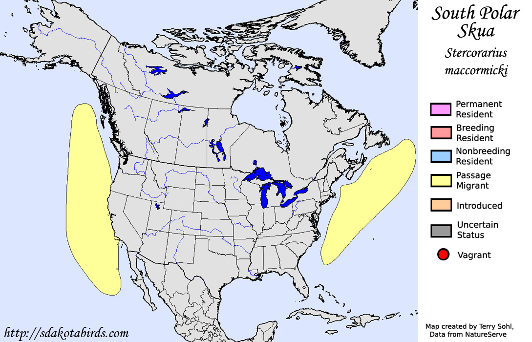 South Polar Skua - North American Range Map