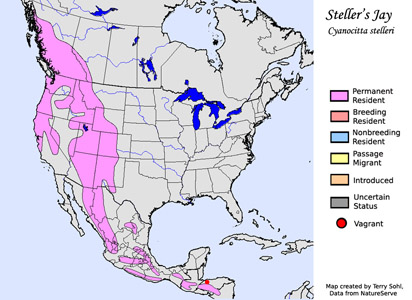 Steller's Jay - Cyanocitta stelleri - Range Map