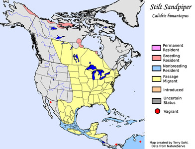 Stilt Sandpiper - Range Map
