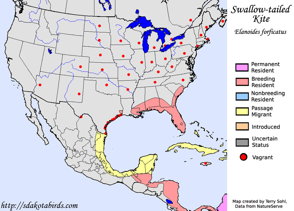 Swallow-tailed Kite - Range Map