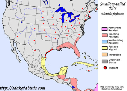 Swallow-tailed Kite - Range Map