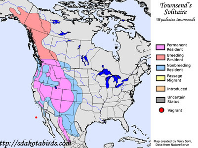 Townsend's Solitaire - Range Map