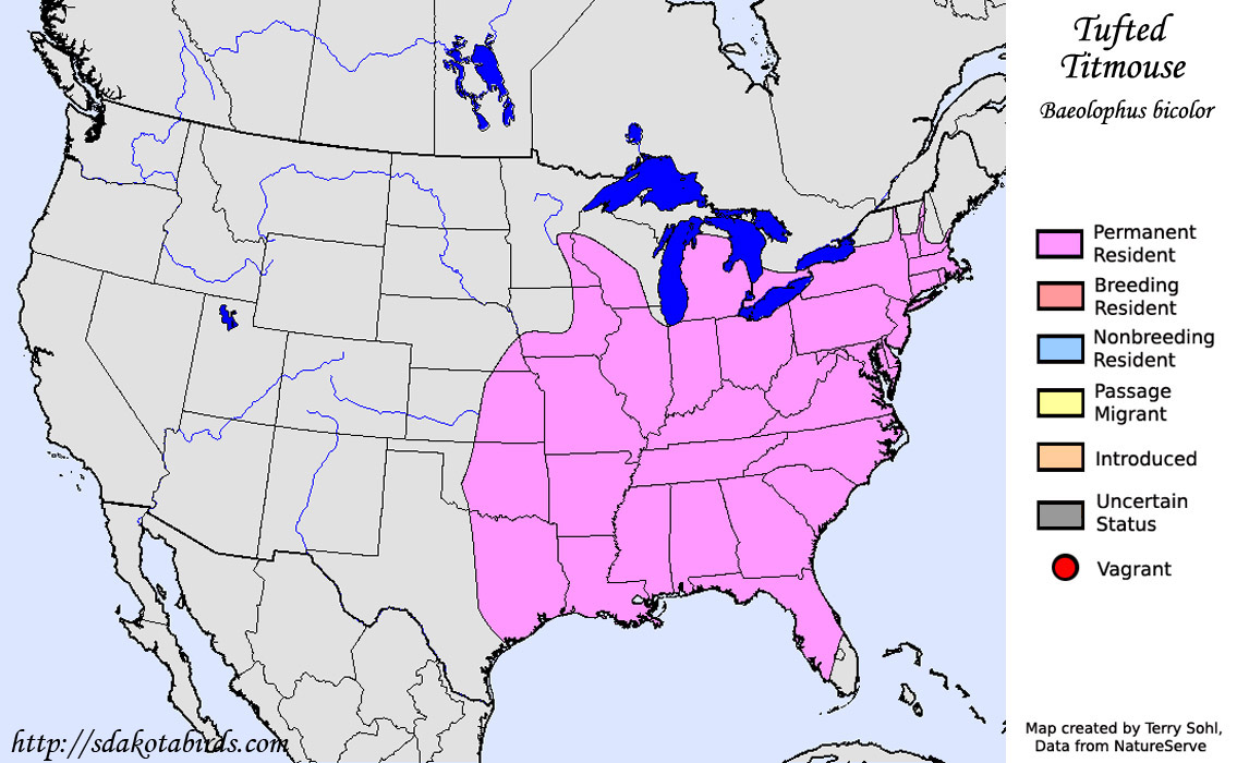 Tufted Titmouse - Range Map