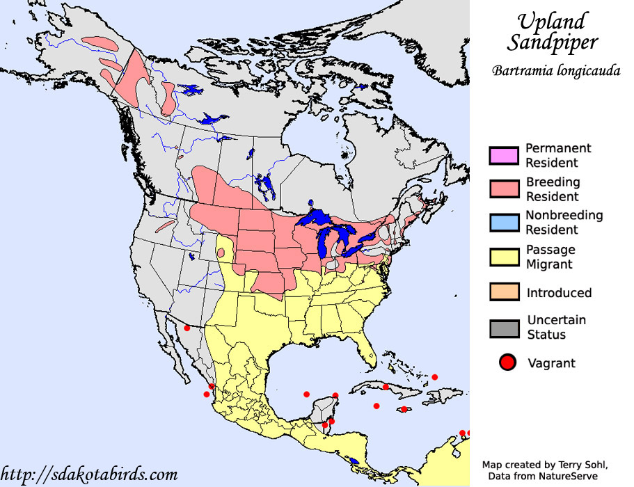 Upland Sandpiper - Range Map