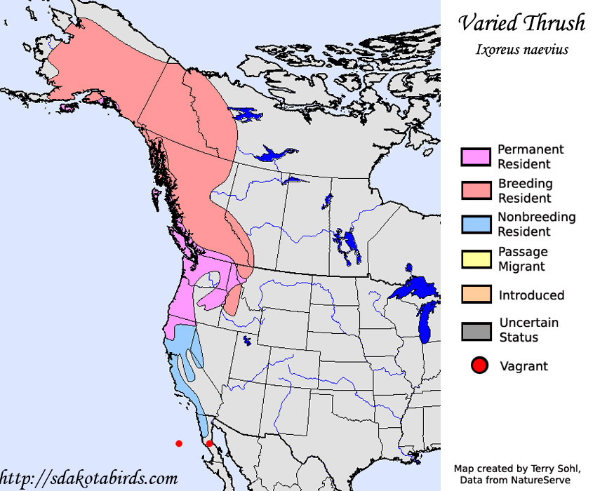 Varied Thrush - Range Map