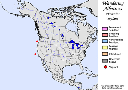 Wandering Albatross - Range Map