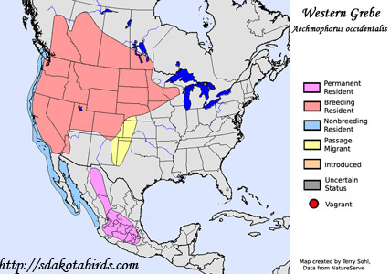 Western Grebe - Range Map