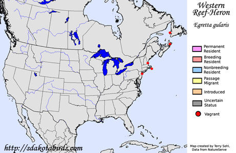 Western Reef-Heron - Range Map