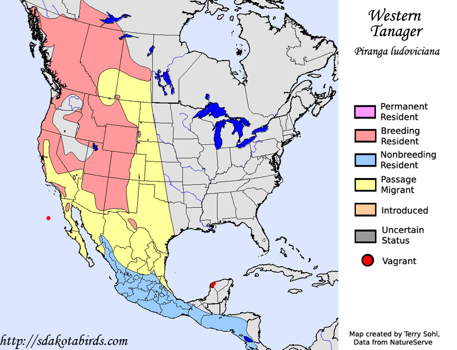 Western Tanager - Piranga ludoviciana - Range Map