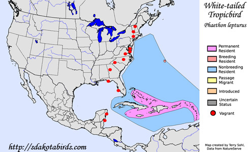 White-tailed Tropicbird - Range Map