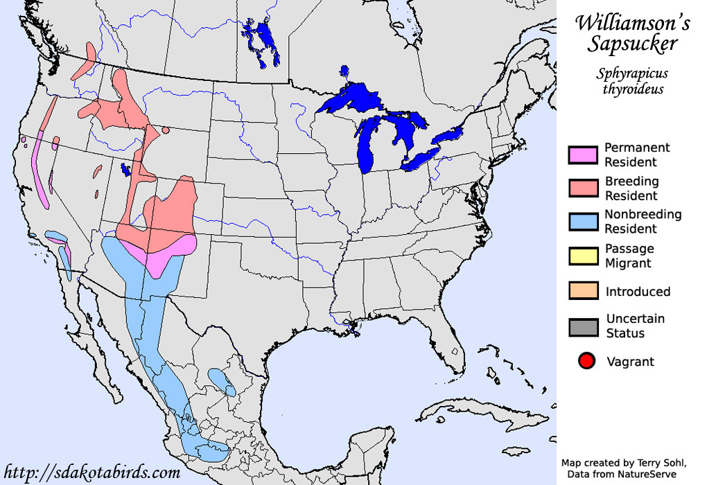 Williamson's Sapsucker - Sphyrapicus thyroideus - Range Map