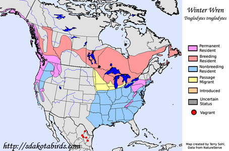 Winter Wren - Range Map