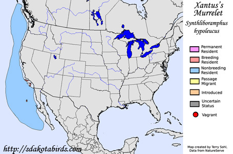 Guadalupe Murrelet range map