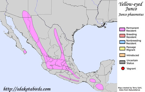 Yellow-eyed Junco - Range Map